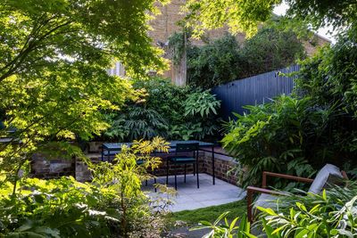 9 Budget-Friendly Privacy Ideas for Your Garden That Look More Expensive Than They Actually Are