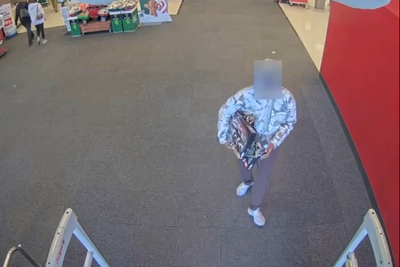 Lego for linguine: California man accused of stealing $34,000 worth of bricks and returning boxes filled with pasta