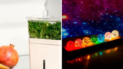 Amazon Keeps Selling Out Of These 65 Things That Are Amazeballs