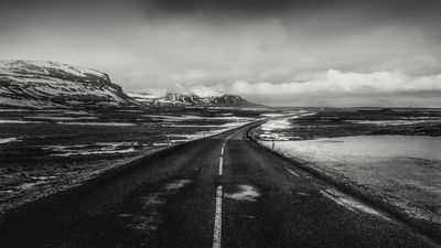 One lens & zero expectations: I rediscovered my love for photography by finally taking this one bit of advice I had been giving my students for years!