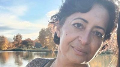 'Only Punjabi, Hindi, and Urdu...': Democrat condemns detention of Indian-origin Meenu Batra after 35 years in US