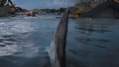 Netflix's Thrash Would Be Better Without The Sharks (I'm Serious)