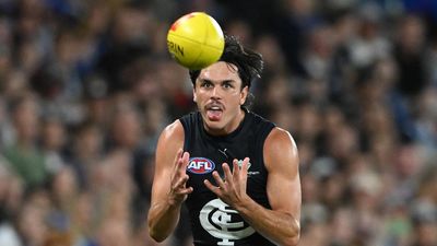 Concerned Carlton dig deeper into Hollands' MCG episode