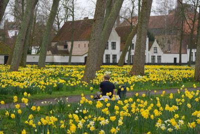 Belgium’s Beguinages: Tranquil oases in a world of noise and distraction