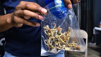 Trump signs order to fast-track research on psychedelic drugs