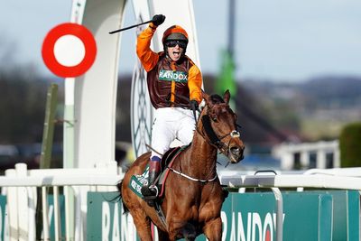 Noble Yeats death: Tributes paid to former Grand National winner after death aged 11