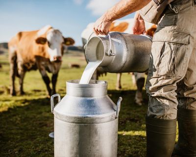 Making a splash: demand for raw and ‘brewed’ milk growing in UK