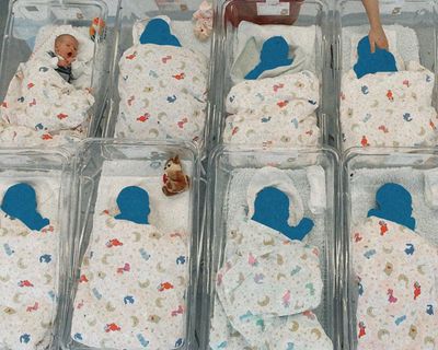 Falling fertility, debt and AI: is the US headed toward a population crisis?