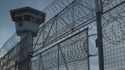 UN and Rights Groups Say Rape Using Trained Dogs at Israel Detention Sites Is Systematic, Endorsed at the Highest Level