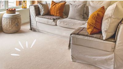 Can you ever get carpet as clean as the professionals do by doing it yourself – or is it a waste of time and effort?
