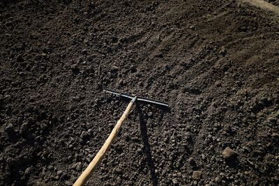 Spring Thaw Warning: Why Your Garden Needs These 3 Free Fixes Now