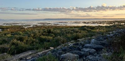 New research finds few improvements for British Columbia’s endangered wildlife