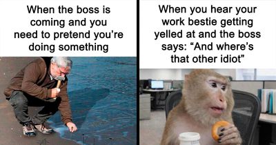 51 Work Memes For When You’ve Already Mentally Clocked Out
