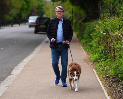 Ministers urged to share Mandelson vetting files with intelligence committee