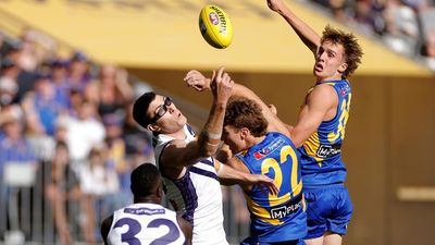 Dockers give Mason Cox 'serviceable' pass mark