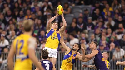 Eagles defender Edwards progressing in concussion fight