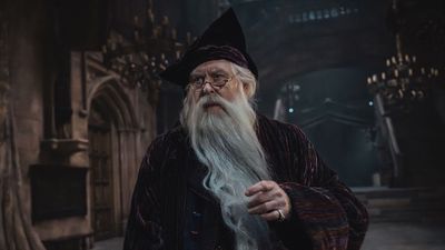 Harry Potter's John Lithgow Had Some Awkward Problems With That Dumbledore Beard