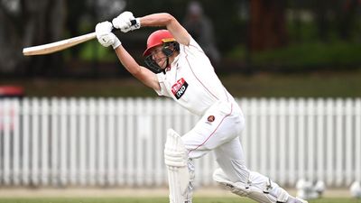 McSweeney ton and Beau brilliance light up county scene