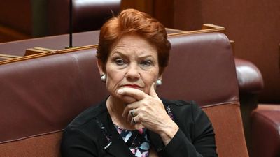 Cracks show in One Nation vote as Hanson taunts rivals