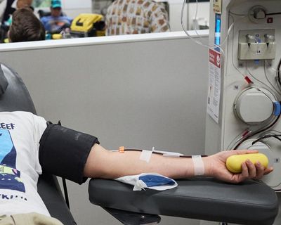 More gay, bisexual and trans Australians can now donate blood. Why were they stopped before, and what will the change mean?