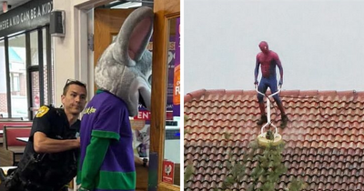 53 Peak Floridian Moments That Show The Weird Side Of The Sunshine State (New Pics)