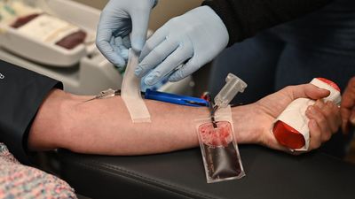 New rules allow more LGBTQI people to donate blood