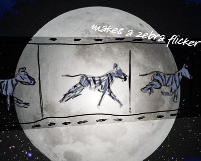 ‘The Moon and The Zoo’: Simon Armitage poem celebrates 200 years of ZSL