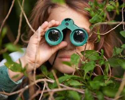 I adored Pokémon as a child. Now I collect critters of a different kind in a hobby that brings me deep joy – birdwatching