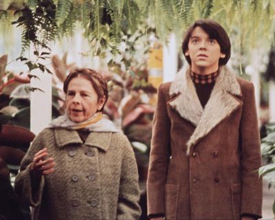 ‘It’s about finding light in the dark’: why Harold and Maude is my feelgood movie