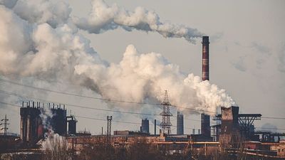 Beyond lung cancer: other types of cancer linked to air pollution, report finds