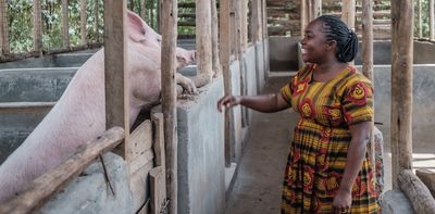Women working in Uganda’s pig sector: how challenging prejudices can unlock opportunities – research