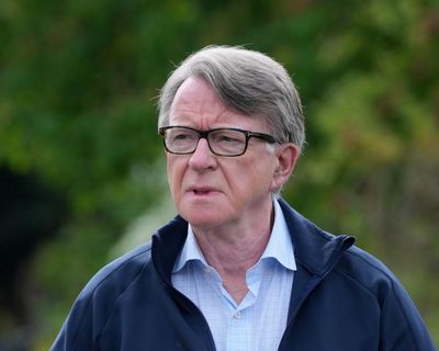 What is ‘DV’? Key terms used in the Mandelson vetting row explained