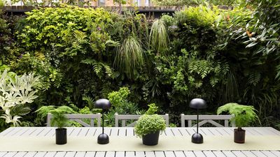Landscape Designers Warn These 7 Mistakes Will Ruin Your Garden's Privacy — This Is What to Do Instead for Stylish Seclusion Outside