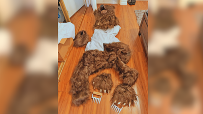 Three people in California arrested for dressing up as bears to commit insurance fraud