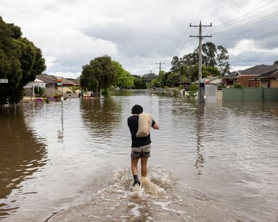 While Rick waited for his insurance payout, mushrooms sprouted in his flooded Victorian home. He’s not alone