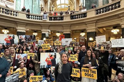 Hundreds of protesters swarm governor’s office chanting ‘free the dogs!’ in bid to save 2,000 beagles