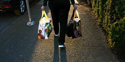 Public grocery stores won’t fix Canada’s food affordability crisis