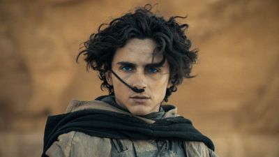 Timothée Chalamet Really Isn’t Going to Live Down Those Ballet Comments in Hollywood