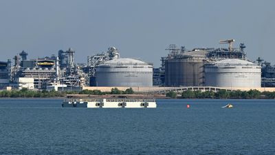 'Tiny' tax returns on gas has leading economist fuming