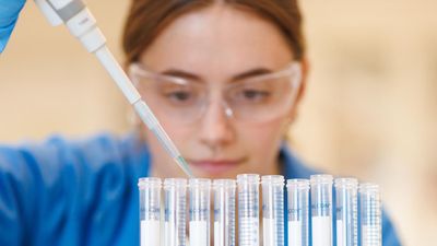 Female scientists transforming STEM knowledge gaps