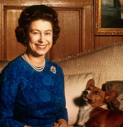 Queen Elizabeth Revealed She Stopped Watching One Game Show Because of a Corgi-Related Problem, Says Royal Author