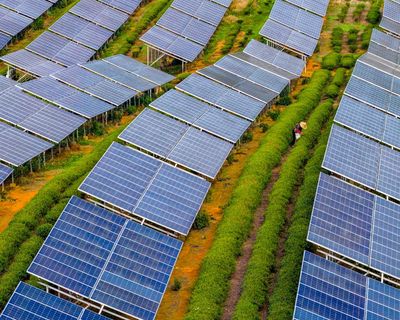 Clean energy generation exceeded rise in global electricity demand in 2025