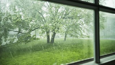 Why Thunderstorms Can Make Your Pollen Allergies Worse – And What You Can Do About It