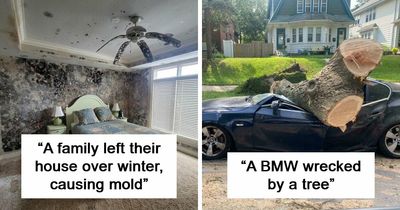 69 Of The Most Expensive Fails That Hurt So Bad To Look At, You May Physically Feel It (New Pics)