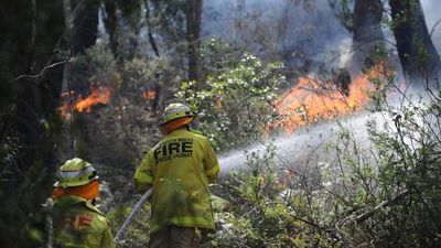 AI cameras spotted more than 1000 bushfires over summer
