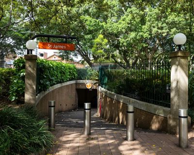 The death of Bikram Lama – Sydney’s ‘birdman’ of St James tunnel – has shaken me. What is happening to our city?