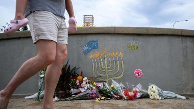 Man jailed for mimicking 'gut-wrenching' Bondi shooting