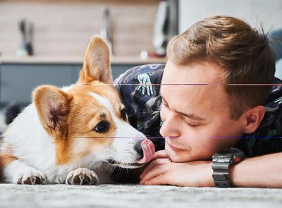 Common Pet Emergencies and How to Handle Them