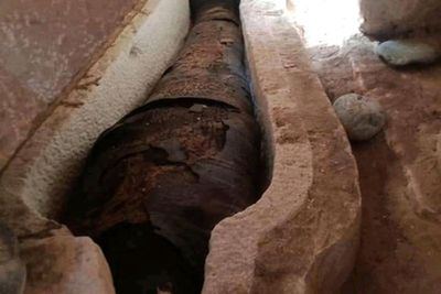 Shock discovery found inside ancient Egyptian mummy