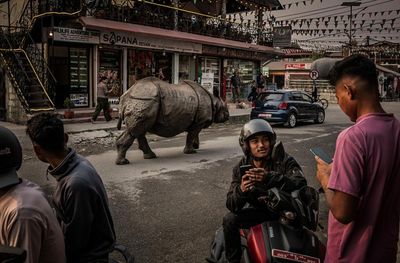 ‘They come right past the house’: learning to live with rhinos as numbers soar in Nepal